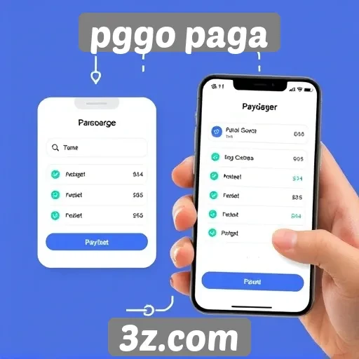 como funciona o sistema de pagamentos no pggo paga